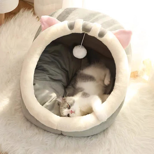 kitten lounge bed