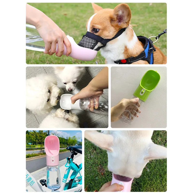 pet water bottle